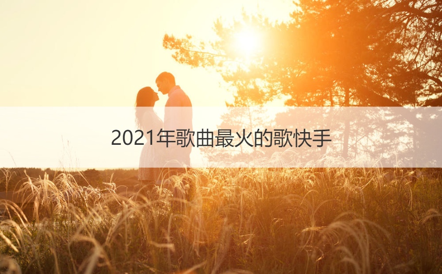 2021年歌曲最火的歌快手