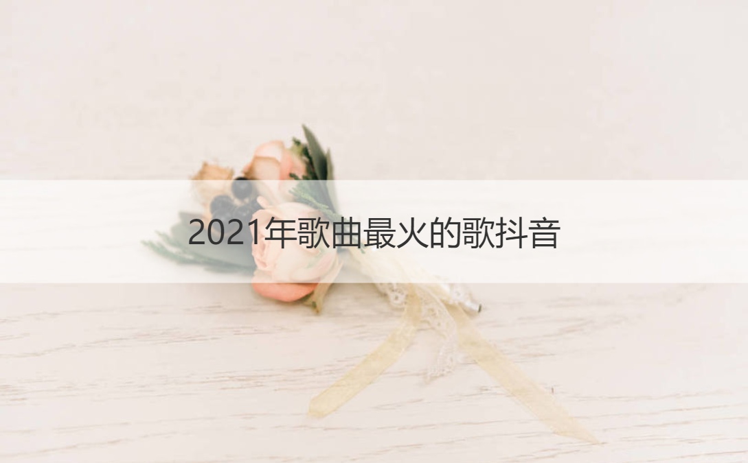 2021年歌曲最火的歌抖音