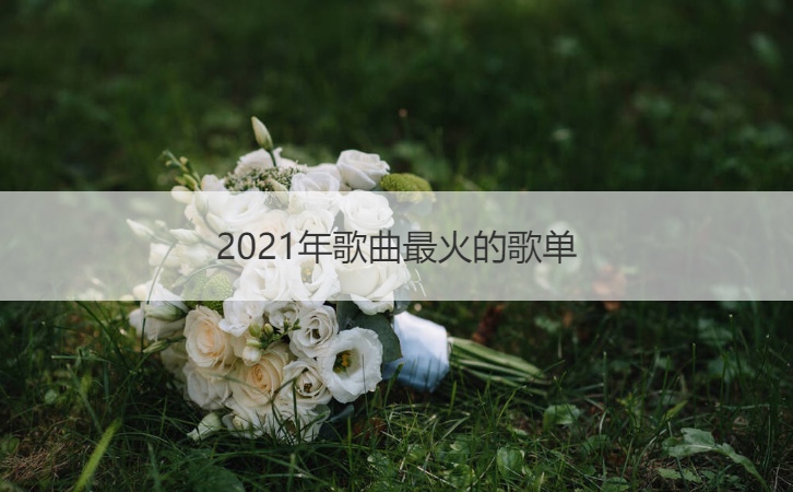 2021年歌曲最火的歌单 2021年最新流行歌曲