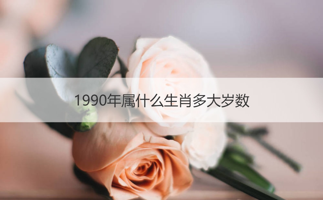 1990年属什么生肖多大岁数