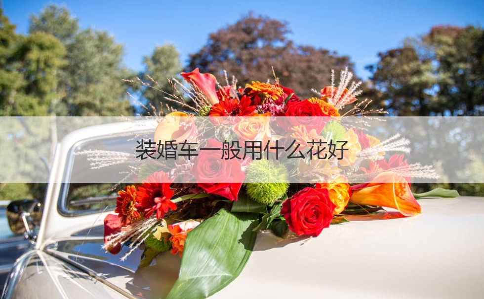 装婚车一般用什么花好