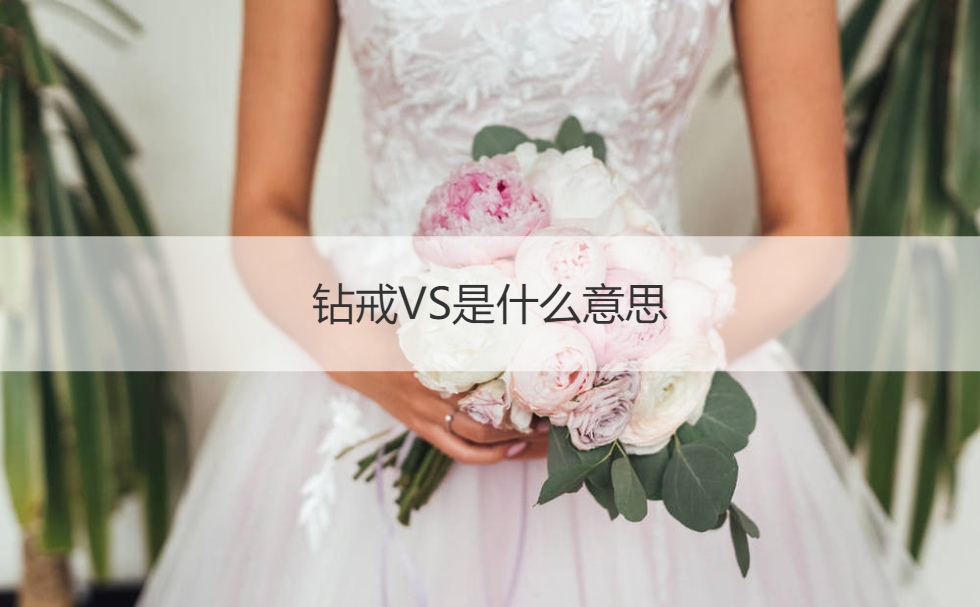 钻戒VS的意思是  钻石vs等级是哪个档次