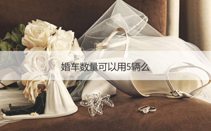 婚车数目可以用5辆么