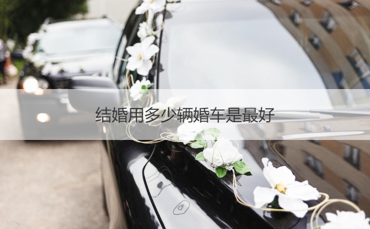 结婚用多少辆婚车是最好