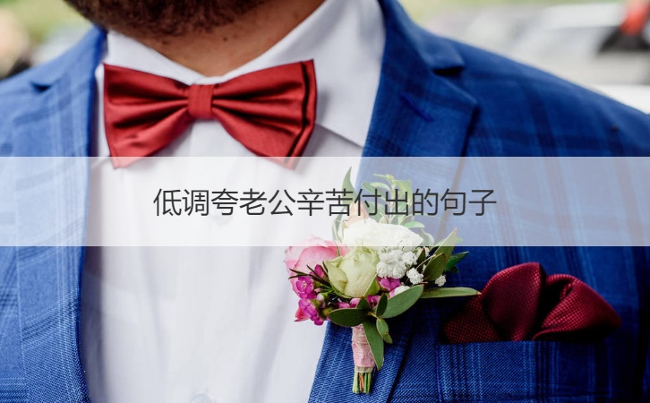 低调夸老公辛苦付出的句子
