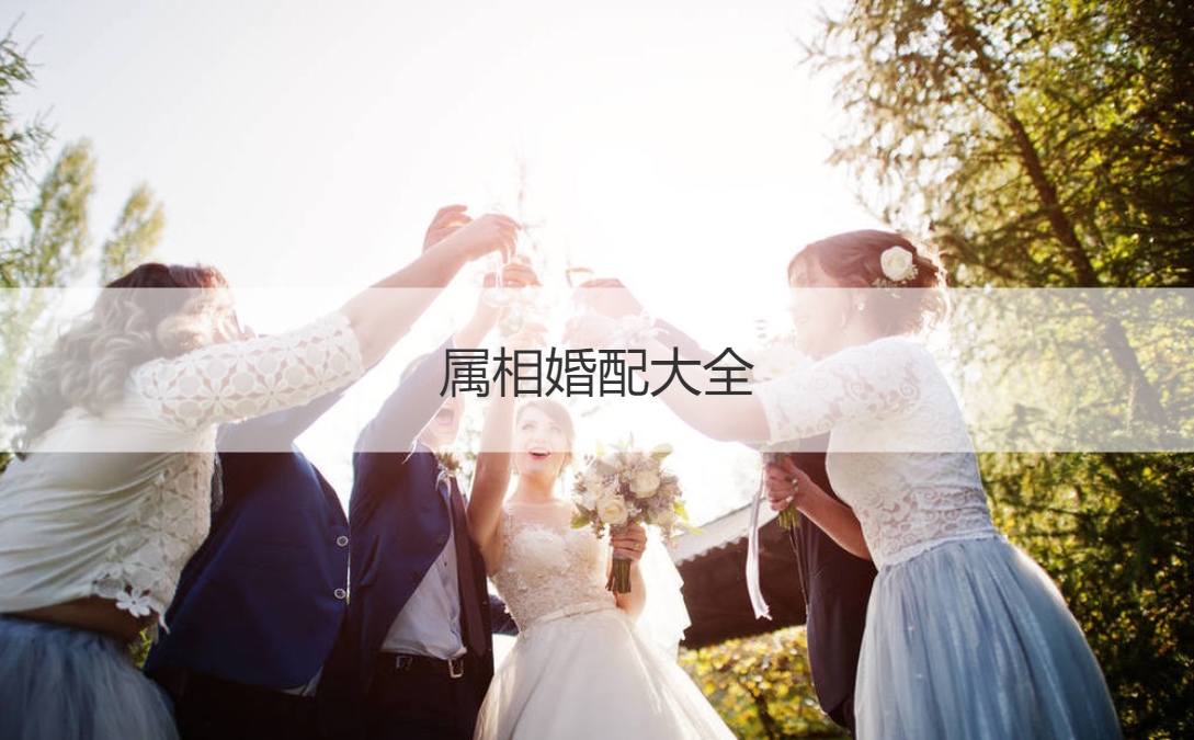 生肖配对姻缘大全  生肖配对查询表大全