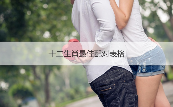 12生肖最好配对表格
