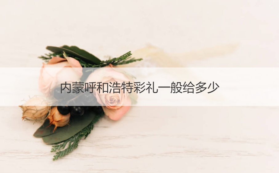 内蒙呼和浩特彩礼一般给多少