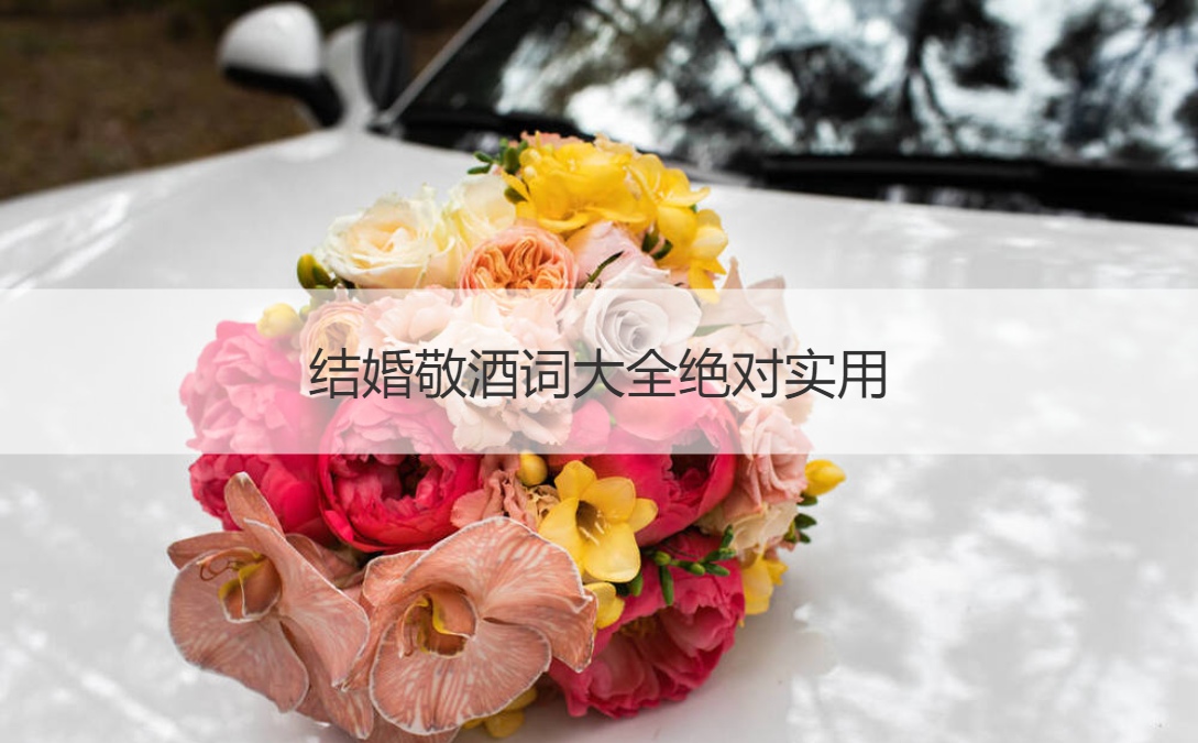结婚敬酒词大全绝对实用  简短实用祝酒词大全