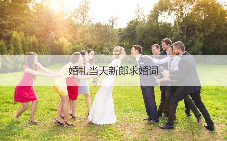 结婚典礼当天新郎求婚词 简洁的求婚词