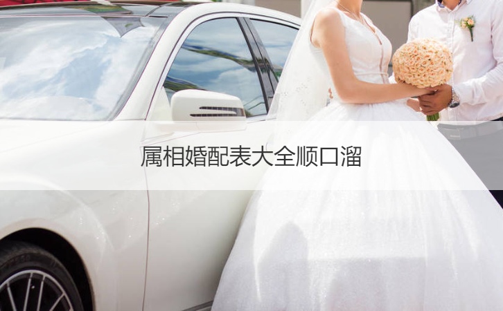 生肖配对查询表大全顺口溜