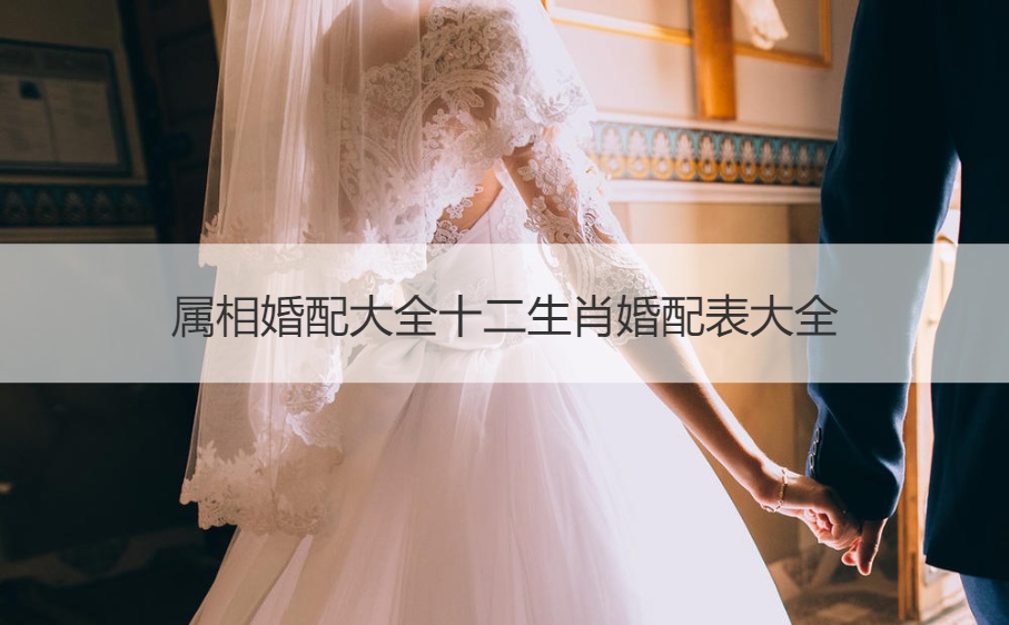 生肖配对姻缘大全12生肖婚配表大全