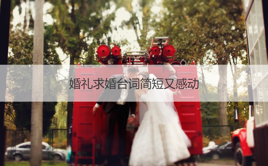 结婚典礼求婚台词简短又感动
