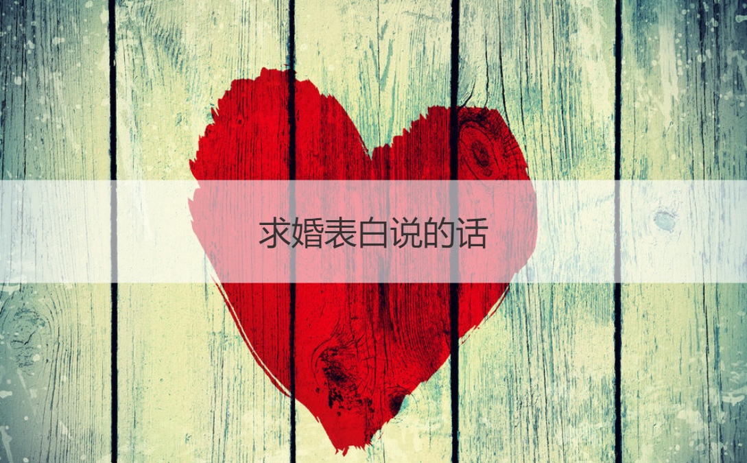 求婚告白说的话  告白情书100字