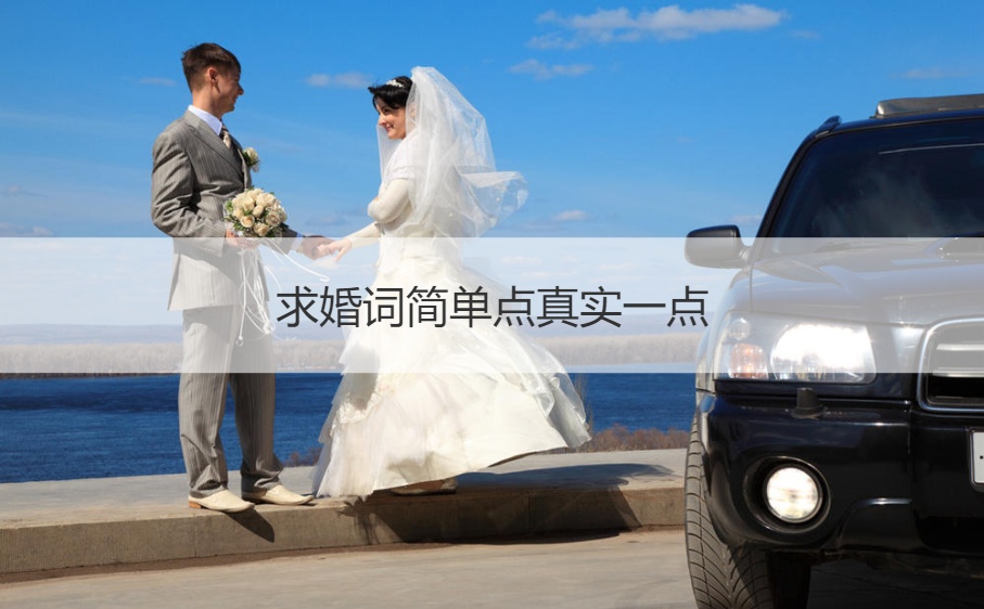 求婚词简单点真实一点