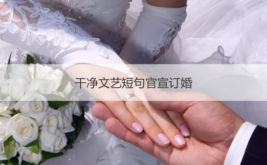 干净文静短句官宣订婚