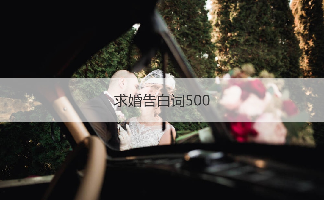 求婚表白词500 求婚告白词简单感动