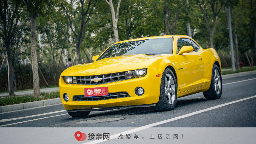 租车网官方网站报价明细表 租车网报价明细表2025