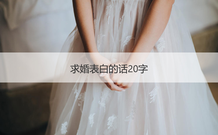 求婚告白的话20字  求婚告白的话感人的