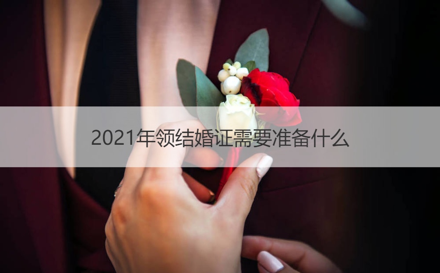 2025年领证需要筹备什么