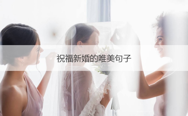 祝福新婚的极致美感句子  祝福新婚的句子