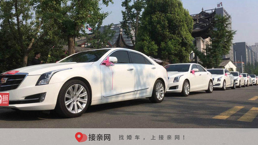 2000一天可以租一辆哪款车
