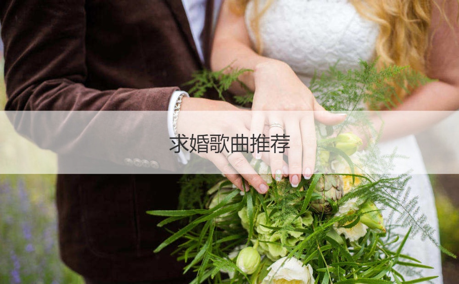 求婚歌曲推荐  求婚用什么音乐