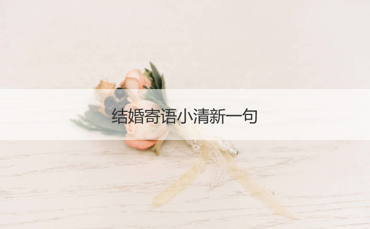 结婚寄语青春活力一句  有创意的新婚祝福语