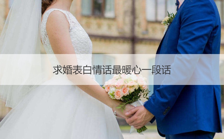 求婚告白情话最暖心一段话
