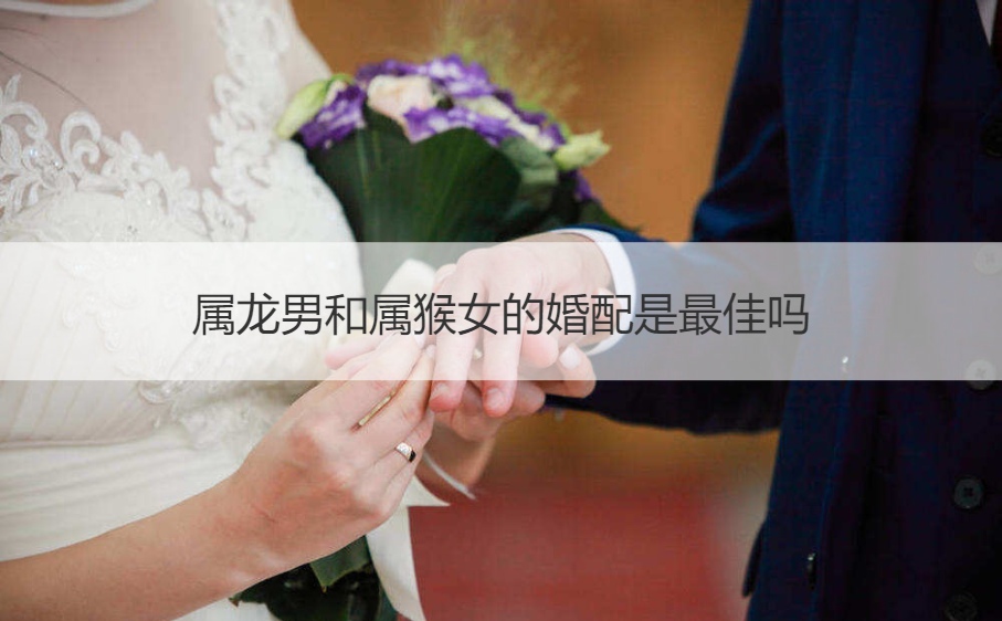 生肖龙男生和生肖猴女生的婚配是最好吗