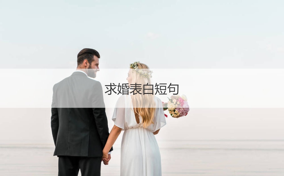 求婚告白短句  求婚表白词