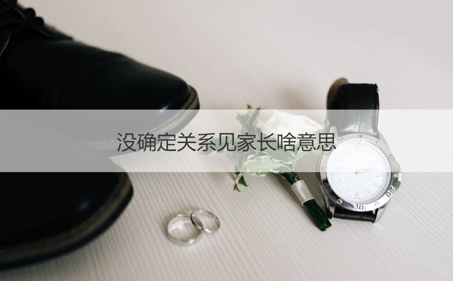 没确定关系见父母什么意思