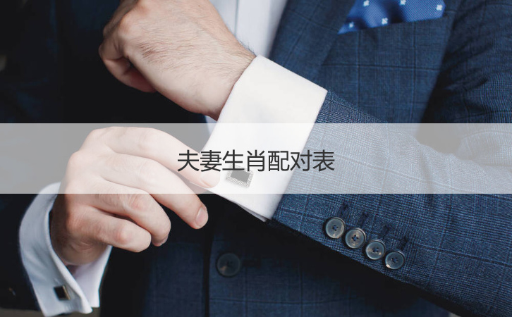 夫妻属相配对打分  十二生肖生肖配对查询表