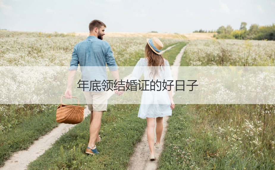 年底领证的好日子