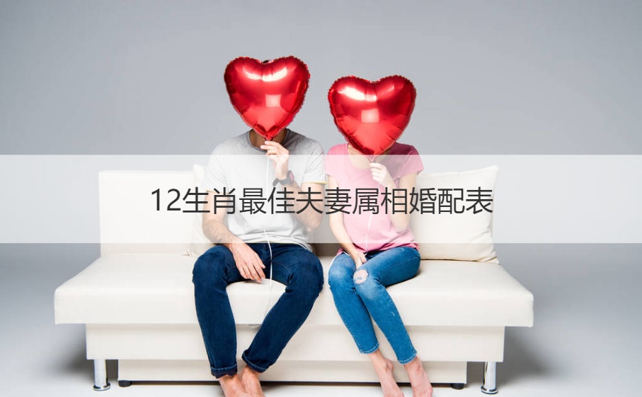 十二生肖最好夫妻生肖配对查询表