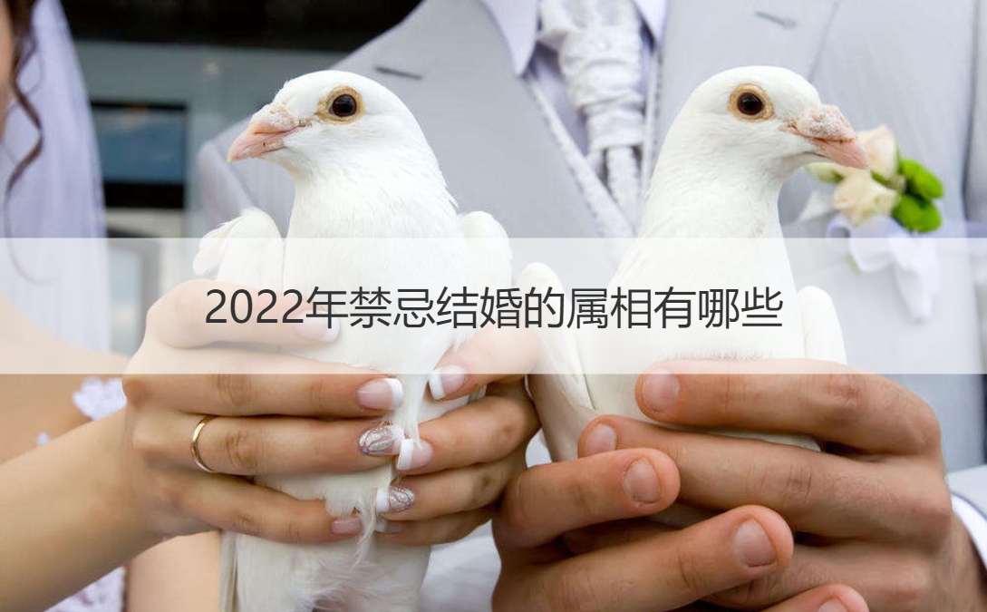 2025年忌讳结婚的属相有什么
