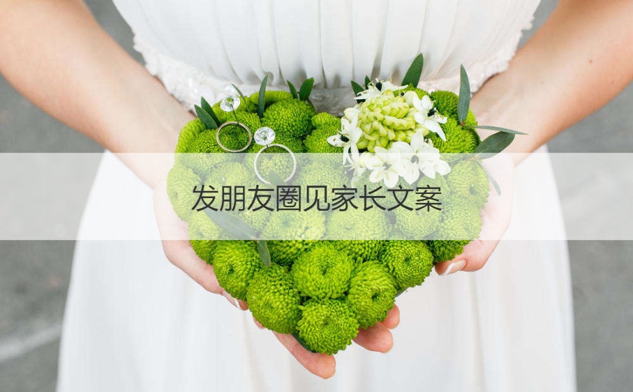 发朋友圈见父母文案
