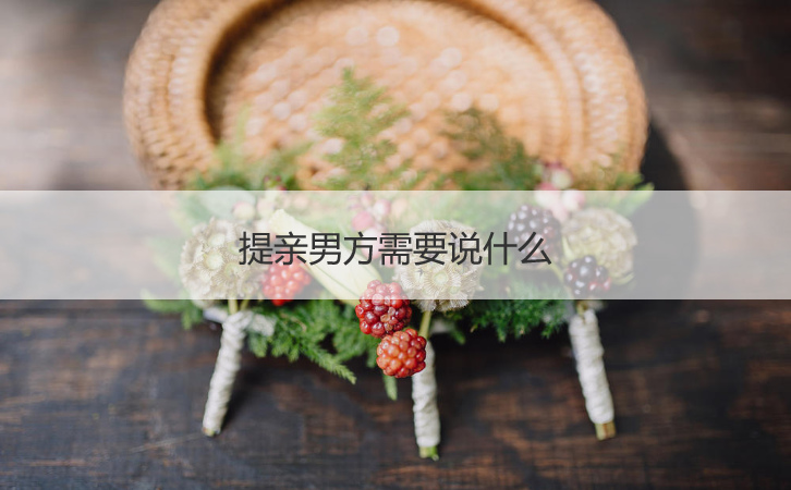 提亲男方需要怎么说