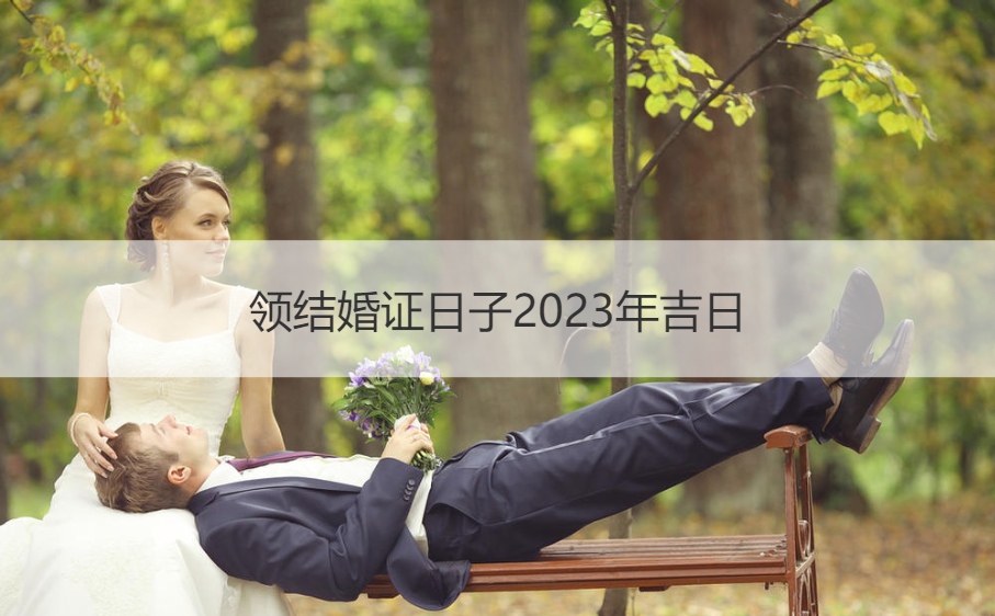 领证日子2025年吉日