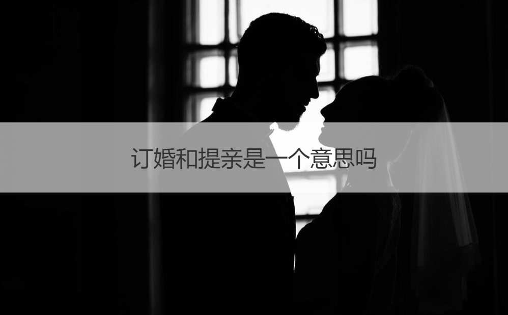 订婚和提亲是一个意思吗