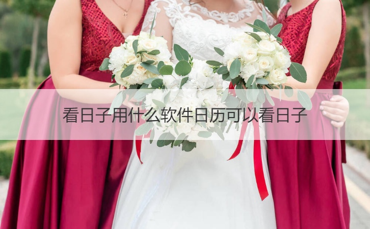 看日子用什么管理系统日历可以看日子