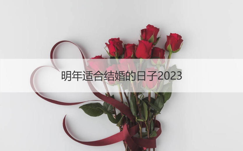 明年合适结婚的日子2026