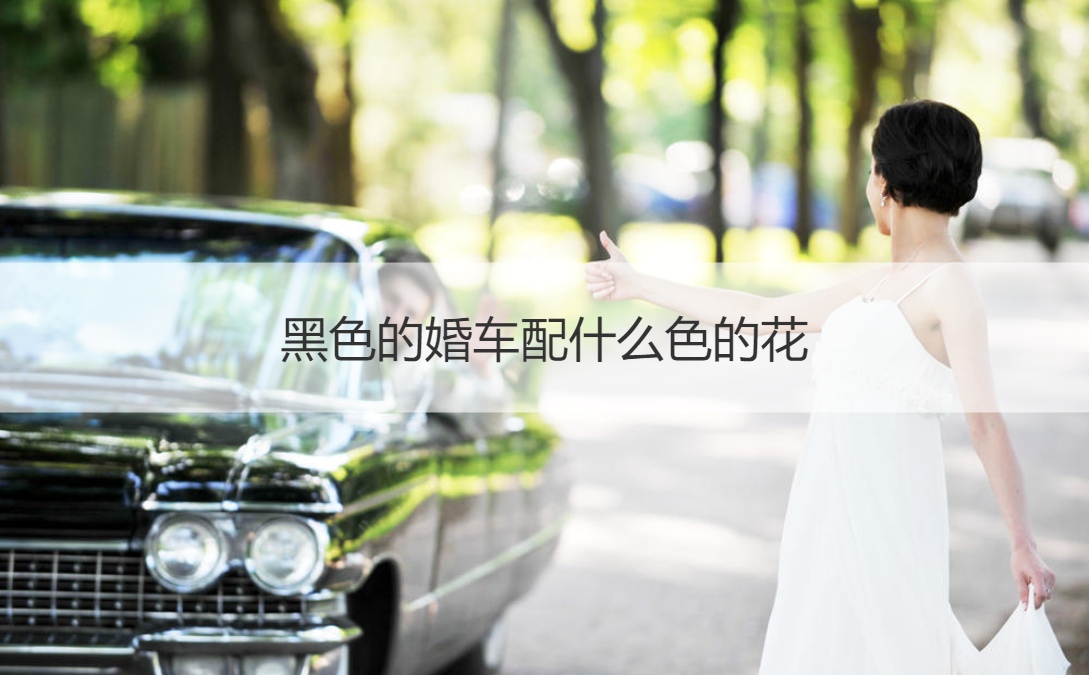 黑色的婚车配什么色的花 婚车选哪种颜色好