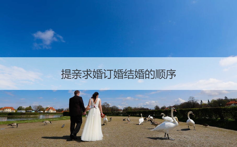 提亲求婚订婚结婚的顺序 订婚不可以叫什么人