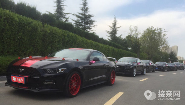 福特野马 5辆福特野马婚车队