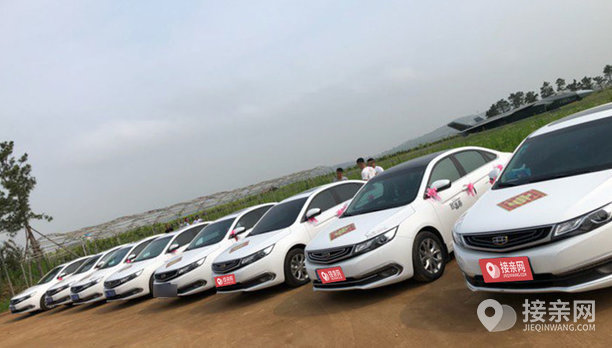 吉利帝豪gl 5辆吉利帝豪gl婚车队