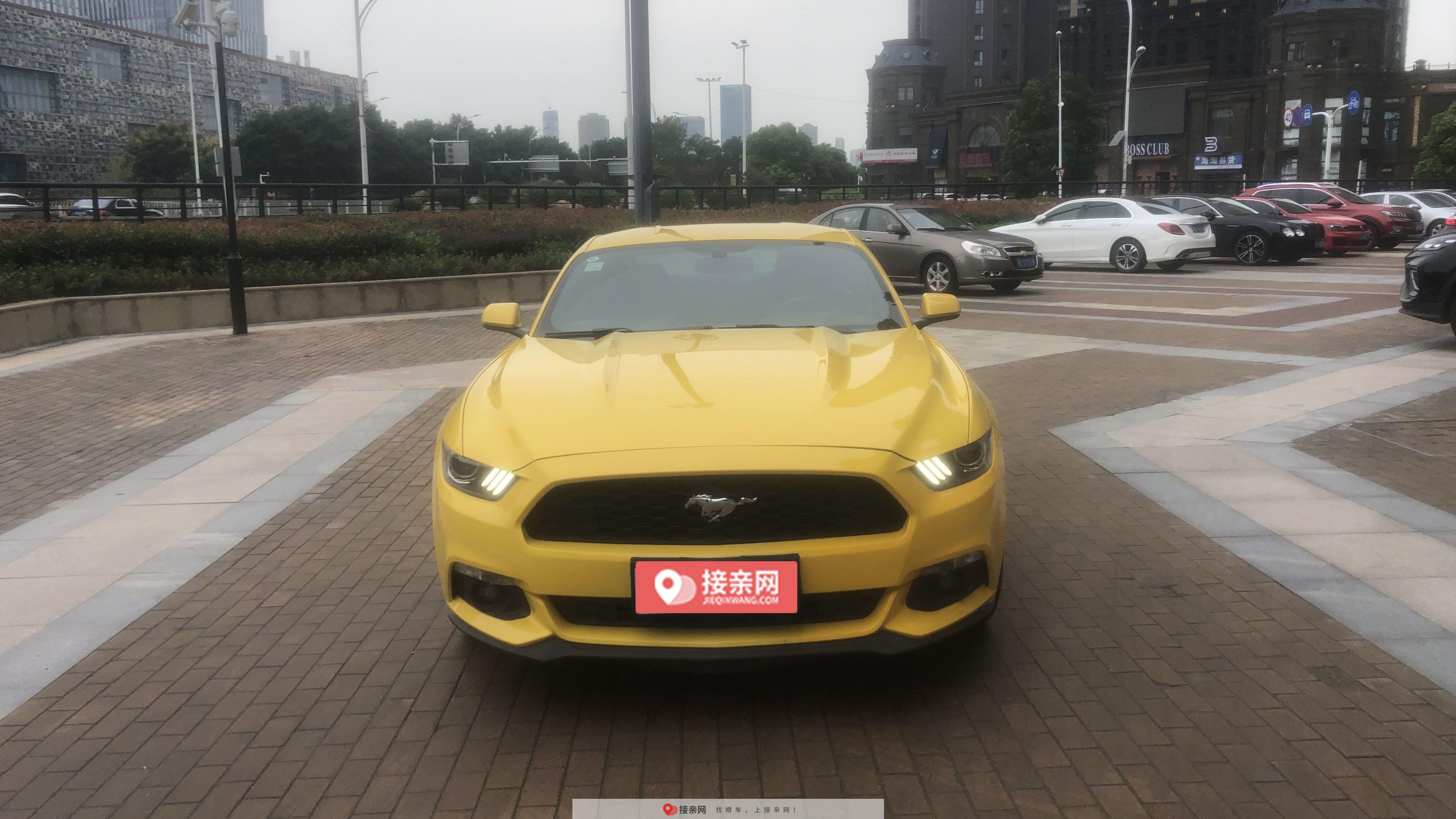 武汉福特野马婚车价格最新武汉福特野马婚车租赁价格表