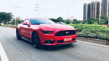 福特野马婚车 (红色,可做头车)