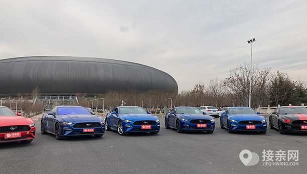 福特野马5辆福特野马婚车队