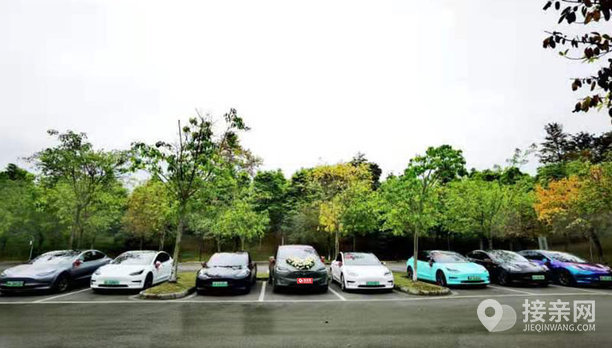 套餐特斯拉model x 20辆特斯拉model 3婚车